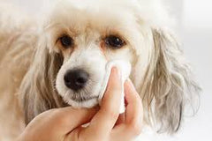 Dog Eye Wipes Vendercart